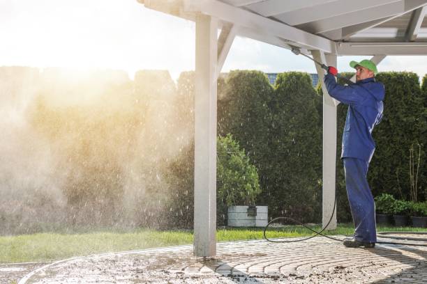 Best Oil Spill Cleanup  in Amador Pines, CA