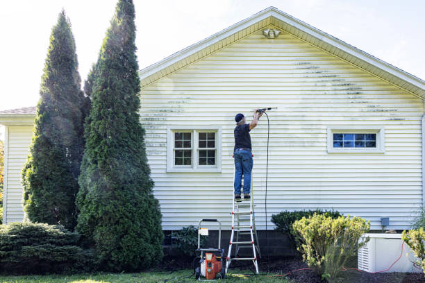 Best Patio and Deck Pressure Washing  in Amador Pines, CA